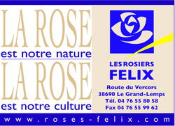 Les rosiers Felix