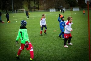 Plateau U6/U7