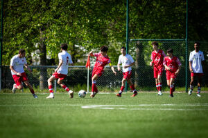 Nivolas / LCA Foot 38