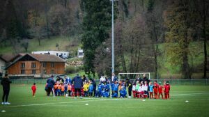 Jeunes pousses en plateau à la Sure