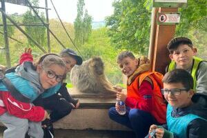 Stage de Pâques : les stagiaires au zoo !