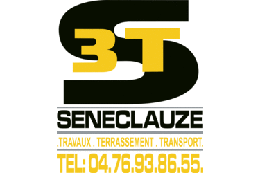 3TS