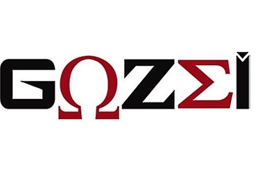 I.G.S. Intrusion Gozzi Sécurité